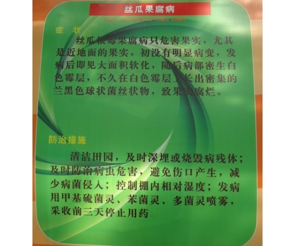  ����ݺ� forum