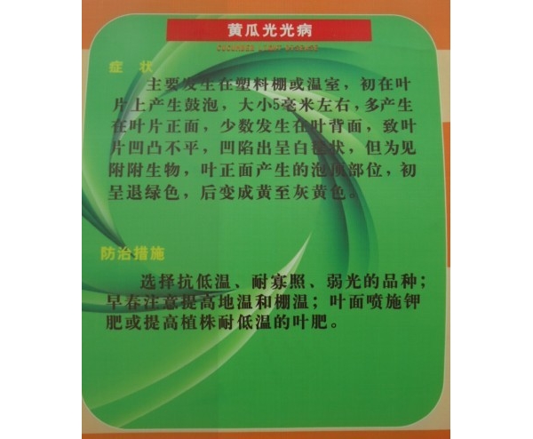  ����ݺ� forum