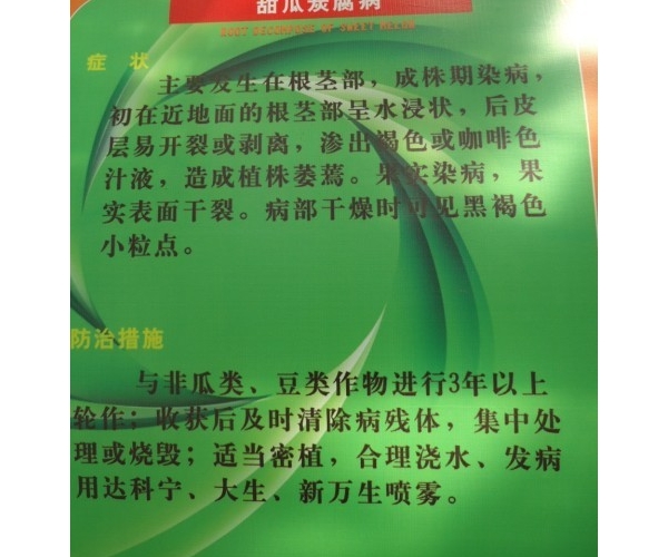  ����ݺ� forum