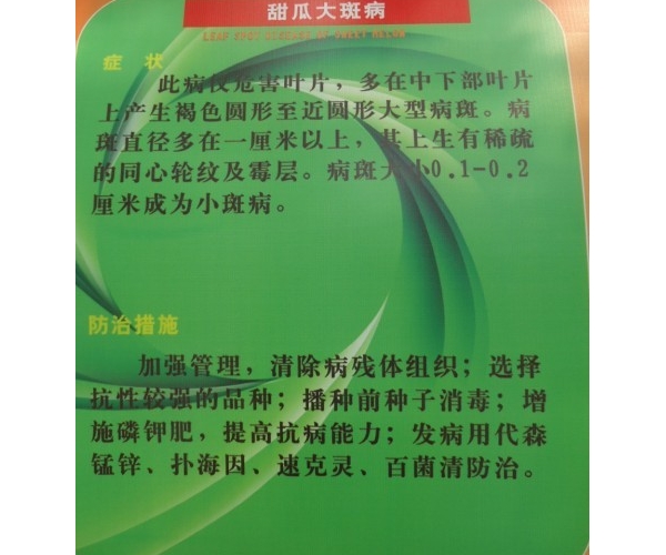  ����ݺ� forum