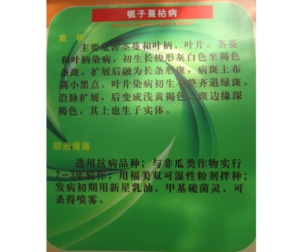  ����ݺ� forum