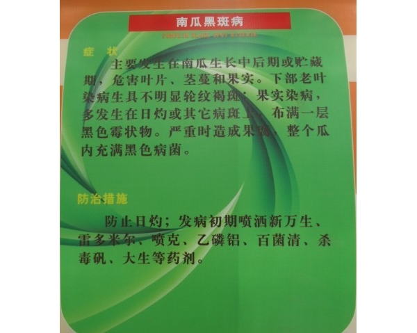  ����ݺ� forum