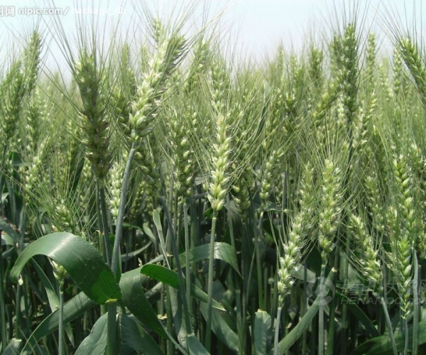  ũ����Ϣ 073218nnggggd6nsdsv1q8