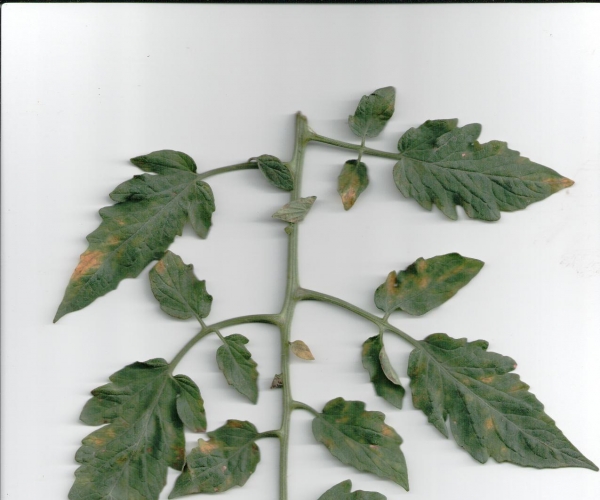  ����ݺ� 165712mcl73bb09nbfnljf