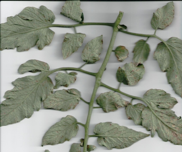  ݺ 1657238dqa5jqa78tx9y2t