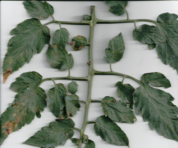  ݺ 165741490o60n0ruic4lui