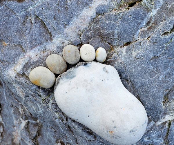  �������ҵ-ׯ���� forum