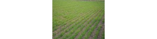  ����ݺ� forum