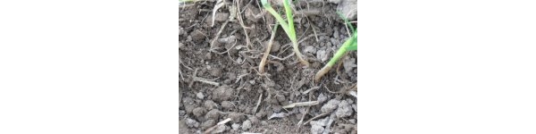  ����ݺ� forum