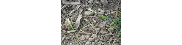  ����ݺ� forum