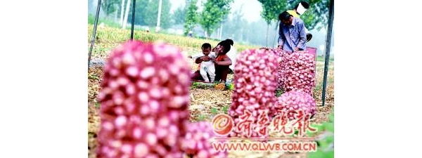  ��ũ��ע forum