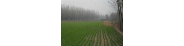  ����ݺ� forum