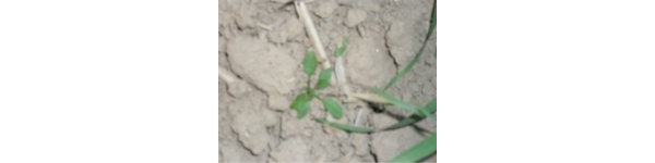  ����ݺ� forum