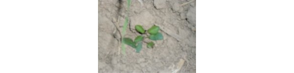  ����ݺ� forum