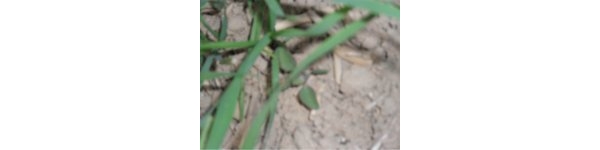  ����ݺ� forum