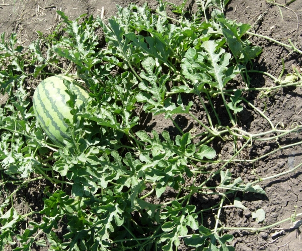  ũϢ 192026a4ncxtydyptgzmbg