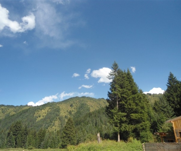  ũҵ¿�� 180146n8ni2zlwl2ss2sla