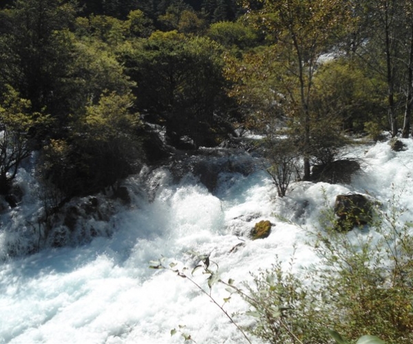  ũҵ¿�� 1801485xjxqkx60qcv5qo6