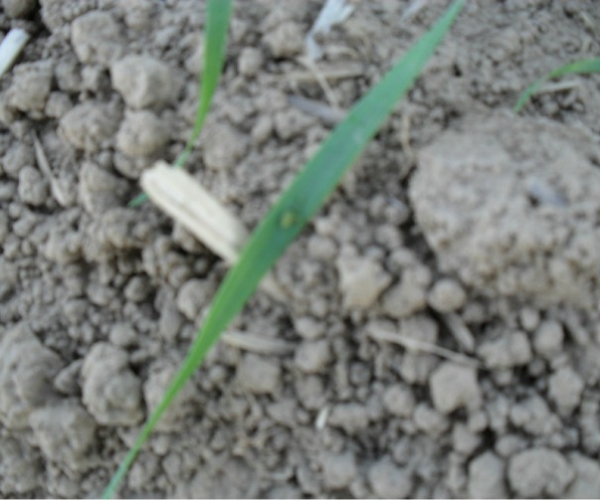  ����ݺ� forum