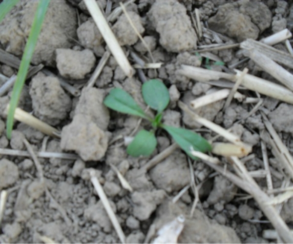  ����ݺ� forum