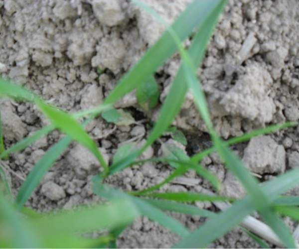  ����ݺ� forum