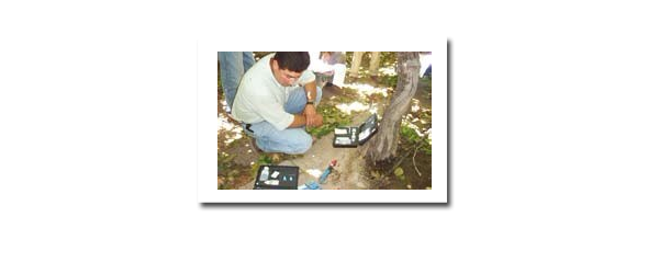  ũ����Ϣ forum