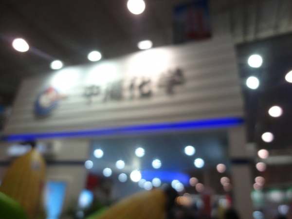  ũ��Ӫ�� forum