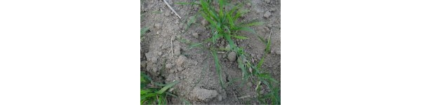  ����ݺ� forum