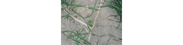  ����ݺ� forum