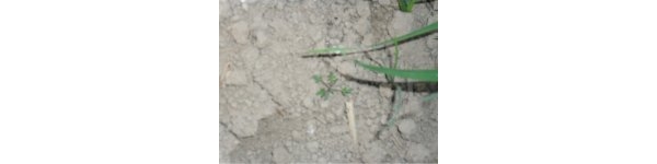  ����ݺ� forum