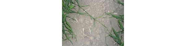  ����ݺ� forum