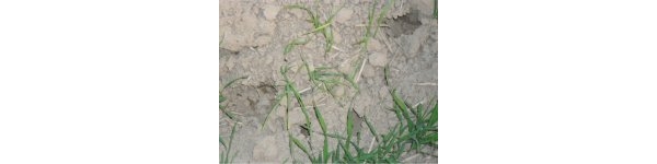  ����ݺ� forum