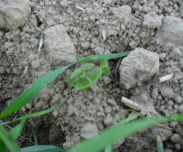  ����ݺ� forum