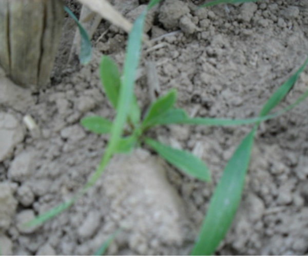  ����ݺ� forum