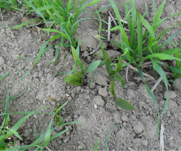  ����ݺ� forum