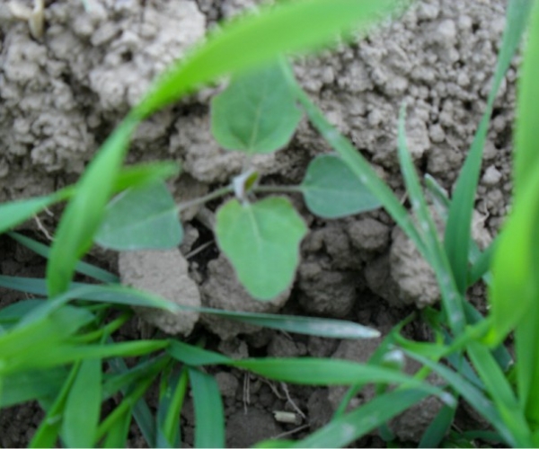  ����ݺ� forum