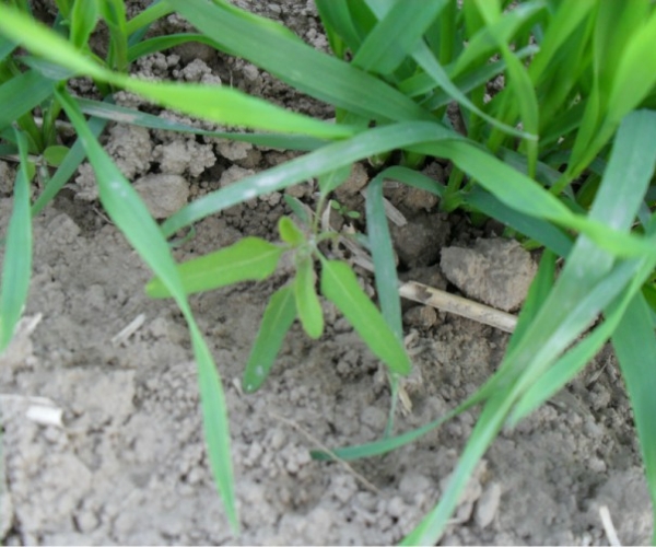  ����ݺ� forum