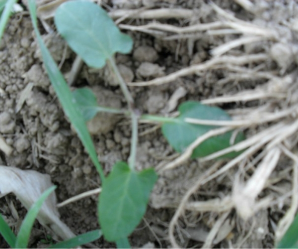  ����ݺ� forum