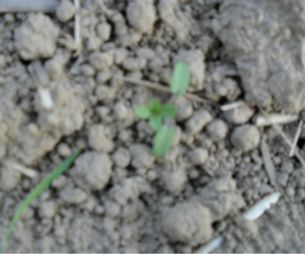  ����ݺ� forum