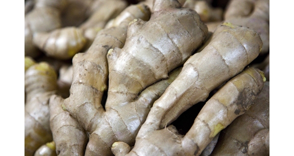  ֲũ 170439dxgha6g7iess7ksz