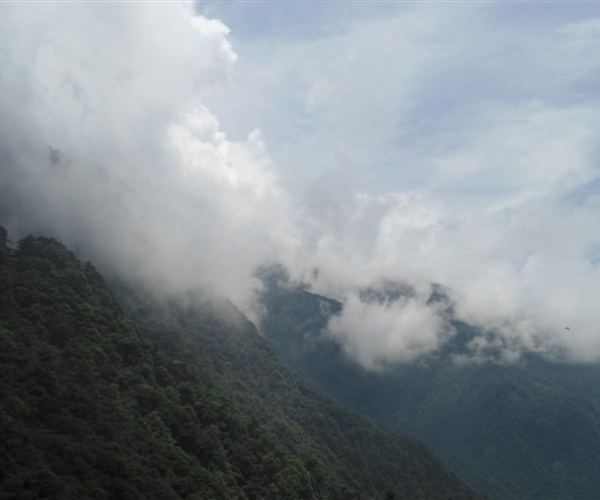  ũҵ¿�� 165658kldhgsayrngkkadn