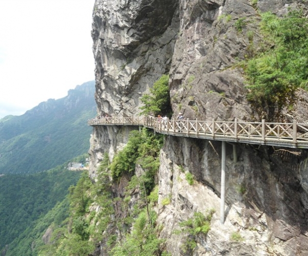  ũҵ¿�� 1656576xt5ly5dzd9lm4xt