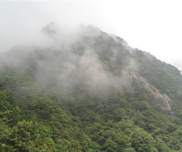  ũҵ¿�� 165701ayrvylxyzzmcqyoj