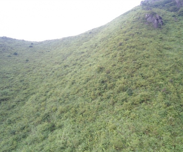  ũҵ¿�� 165703ec3g1o5ezyg3w9gn