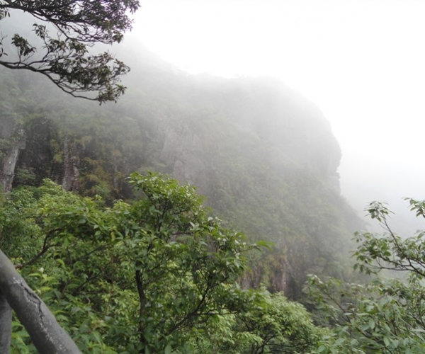  ũҵ¿�� 165706ymmayaym2shsd2i4