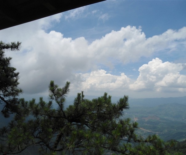  ũҵ¿�� 1657142ljafeaxrajej26c