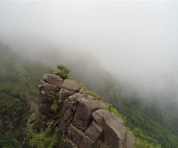  ũҵ¿�� 165720ztzaaz4phpwz8qzw