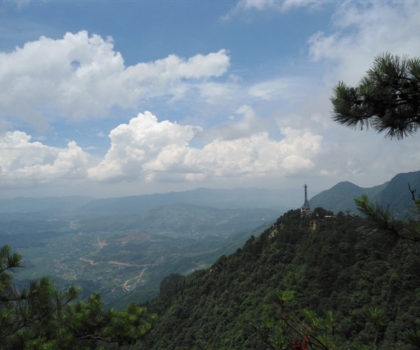  ũҵ¿�� 165715pyzv6zkd59z84p6p