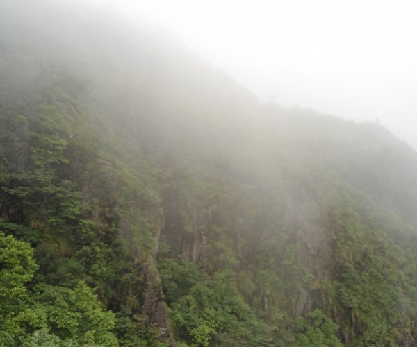  ũҵ¿�� 1657175ucp7pc41pkpuu2y