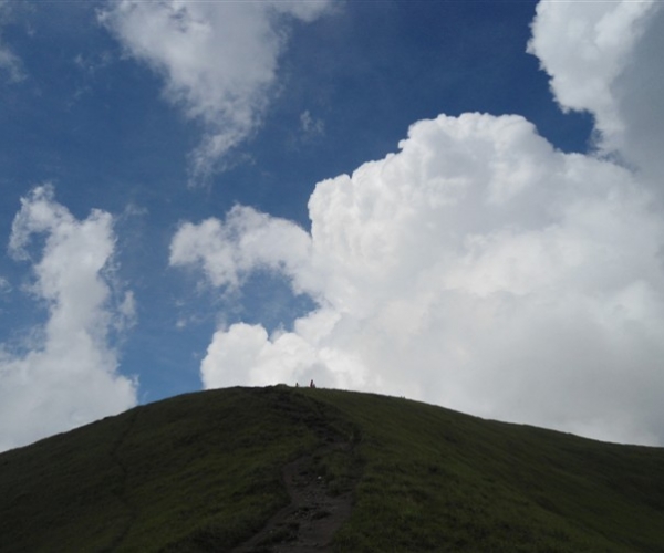  ũҵ¿�� 1657181ra5zqad3od8zaag